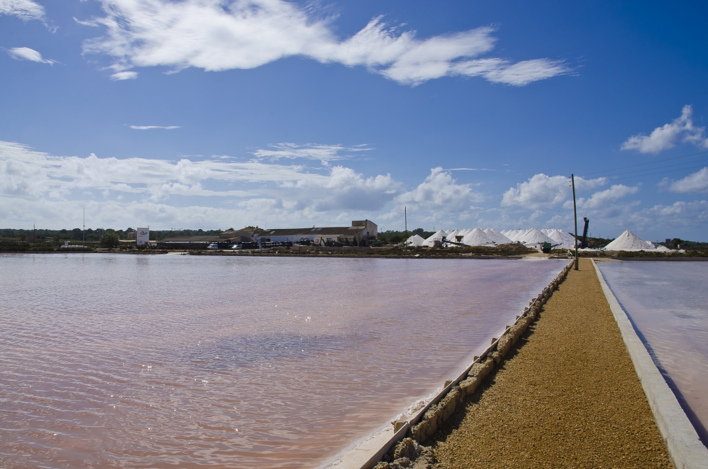 Fleur de Sel aus Mallorca Fleur de Sel