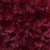 Tellergold - Fleur de Sel Rotwein & Cranberries - kostbares Flor de Sal aus Portugal - 70g - Salzmischung von Hand veredelt mit Kräutern und Gewürzen | Glas - 2